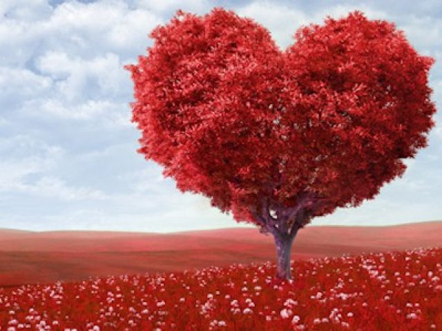 San Valentín.