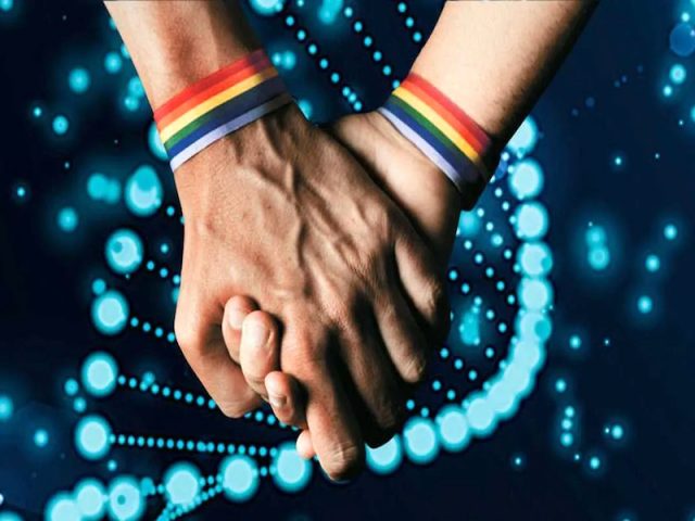 Conducta gay tendría que ver con genes humanos, revela estudio