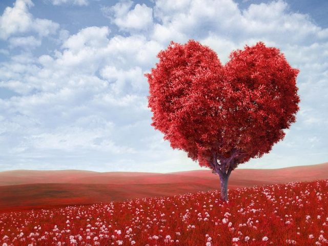 San Valentín.